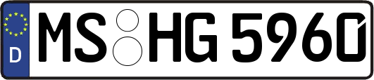 MS-HG5960