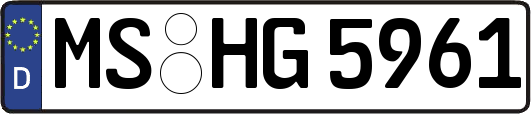 MS-HG5961