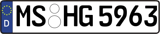 MS-HG5963