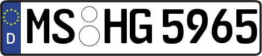 MS-HG5965