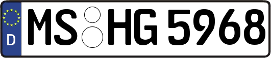 MS-HG5968