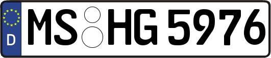 MS-HG5976
