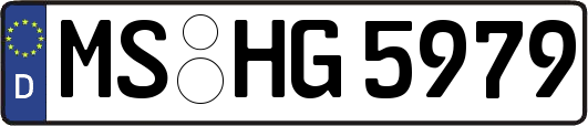 MS-HG5979