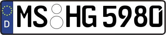 MS-HG5980