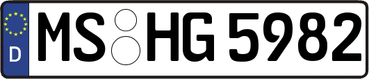 MS-HG5982