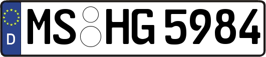 MS-HG5984
