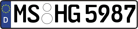 MS-HG5987