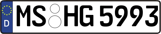 MS-HG5993
