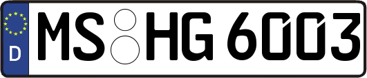 MS-HG6003