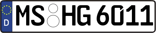 MS-HG6011