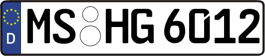 MS-HG6012