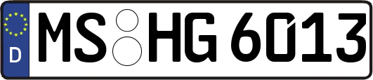 MS-HG6013