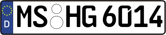 MS-HG6014
