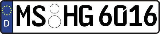 MS-HG6016