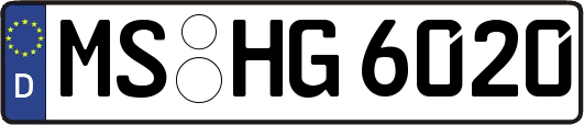 MS-HG6020