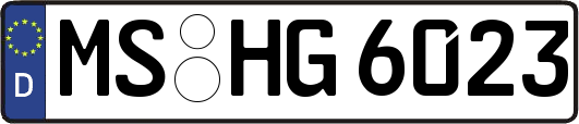 MS-HG6023