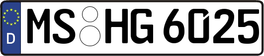 MS-HG6025
