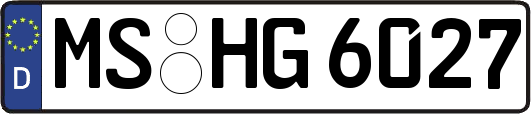 MS-HG6027