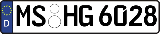 MS-HG6028