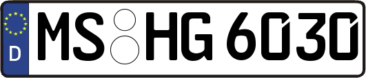 MS-HG6030