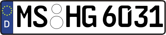 MS-HG6031