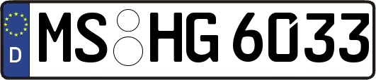 MS-HG6033