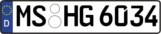 MS-HG6034