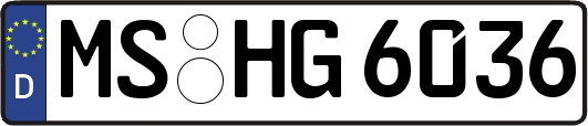 MS-HG6036