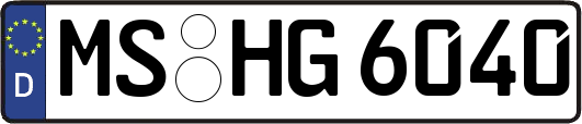 MS-HG6040