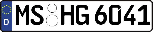 MS-HG6041