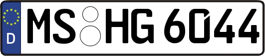 MS-HG6044