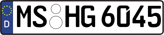 MS-HG6045