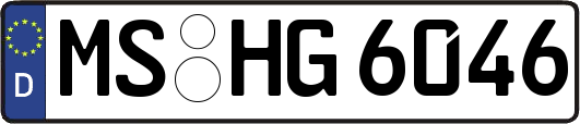 MS-HG6046