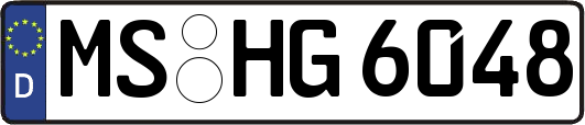MS-HG6048