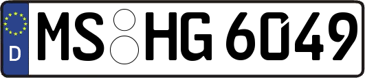 MS-HG6049