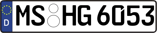 MS-HG6053