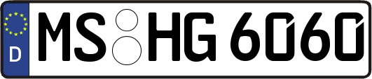 MS-HG6060