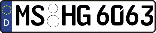 MS-HG6063