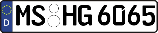 MS-HG6065
