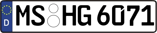 MS-HG6071