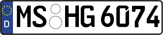 MS-HG6074