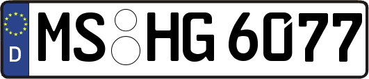 MS-HG6077