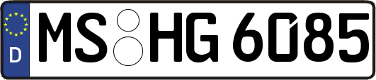 MS-HG6085