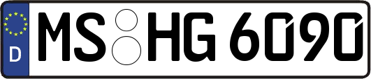 MS-HG6090