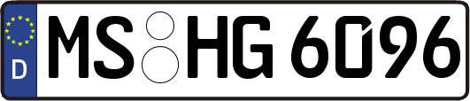 MS-HG6096