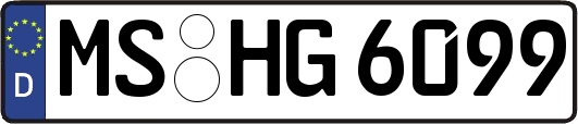MS-HG6099