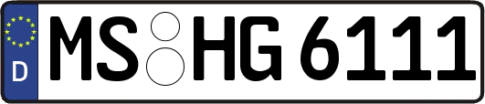 MS-HG6111