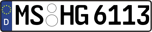 MS-HG6113