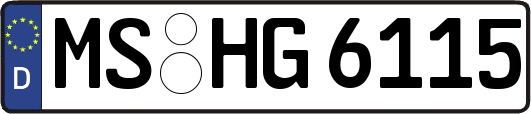 MS-HG6115