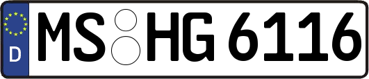 MS-HG6116